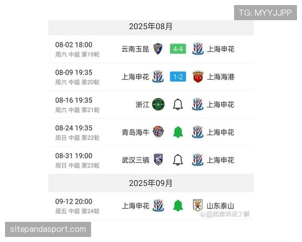 上海申花近期赛程密集表现稳定，客场连续挑战竞争对手