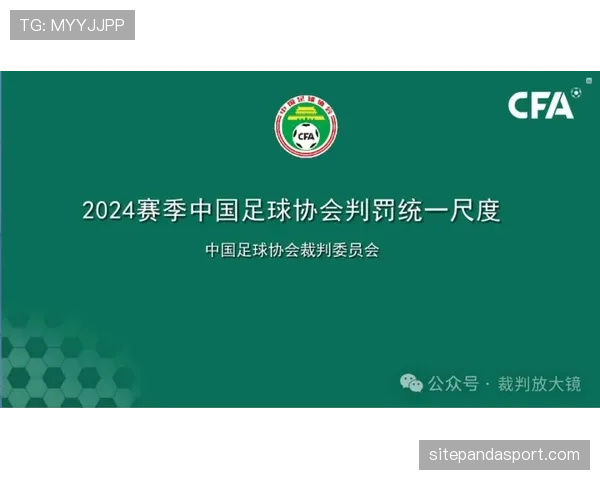裁判尺度：判罚一致性的判定标准与常见误区
